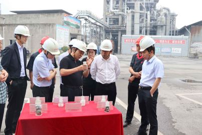 新材料集團(tuán)參觀調(diào)研馬邊工業(yè)項目