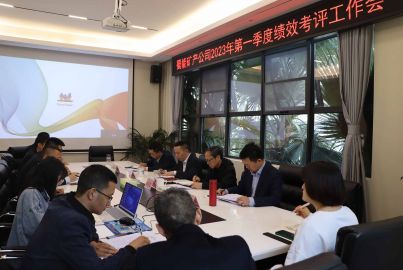 蜀能礦產(chǎn)公司組織召開2023年第一季度績效考評工作會