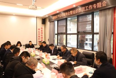 蜀能礦產(chǎn)召開(kāi)周例會(huì)暨組織群團(tuán)工作專(zhuān)題會(huì)